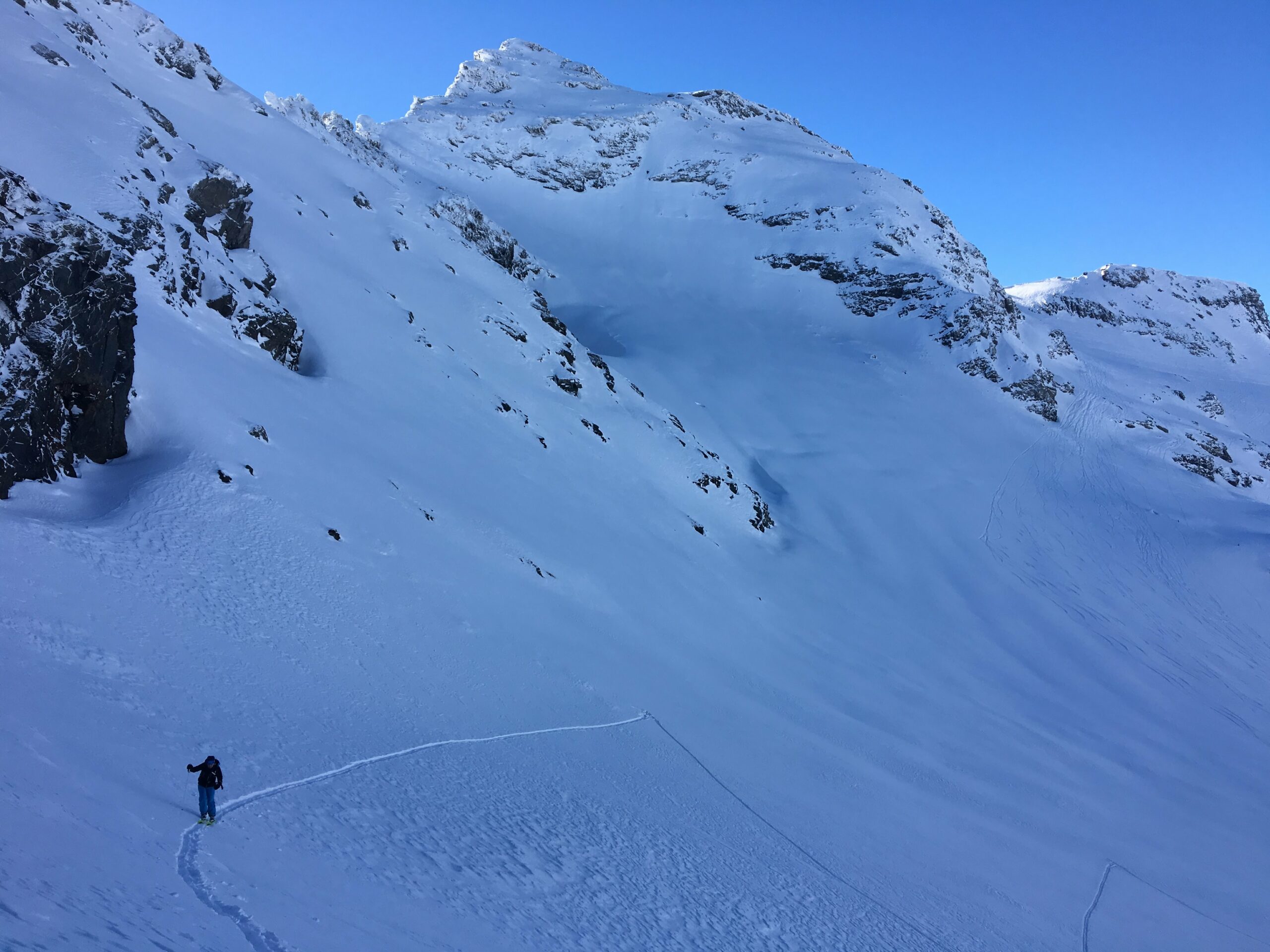 With or without seal skins?