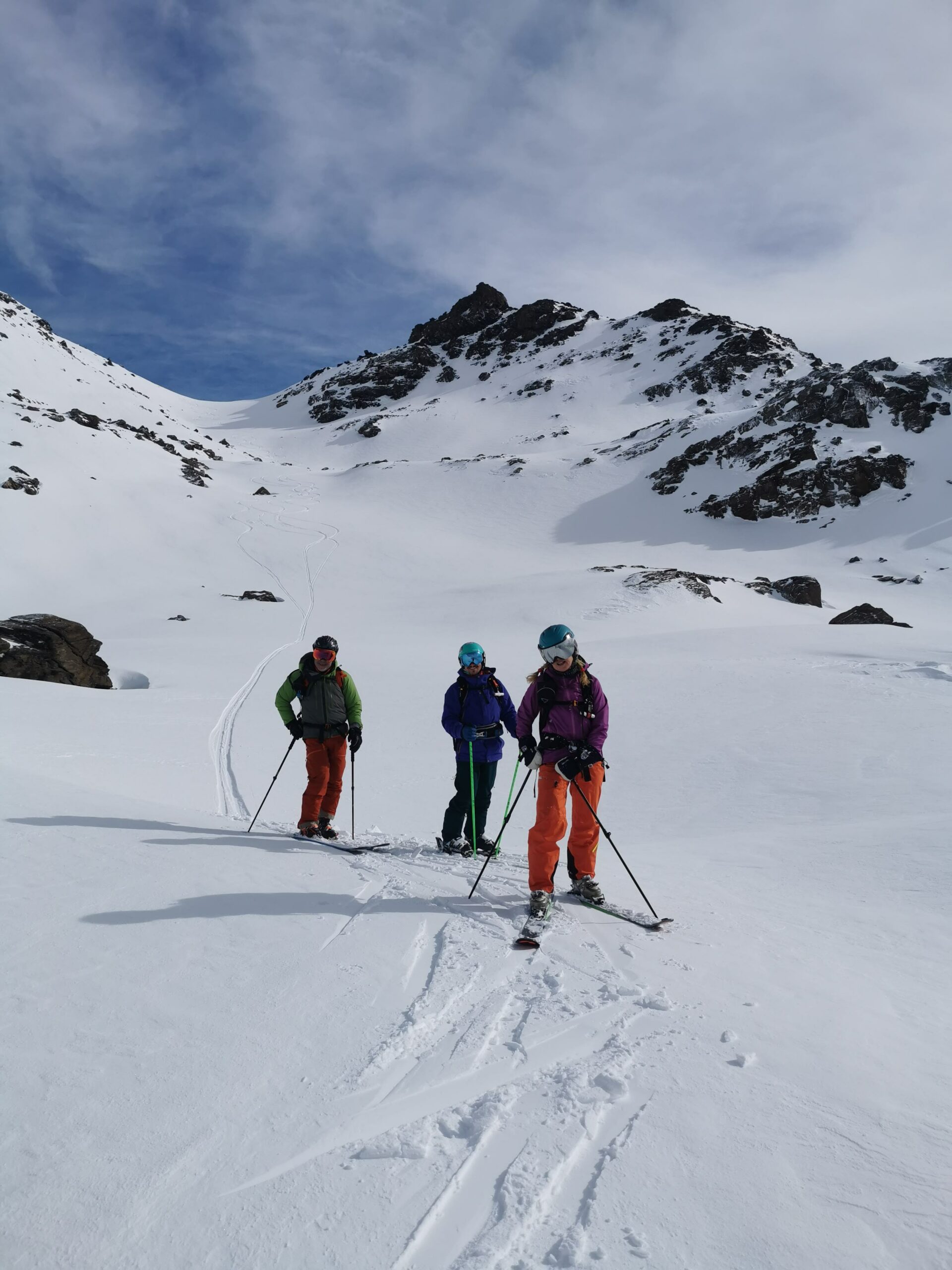 With or without seal skins?