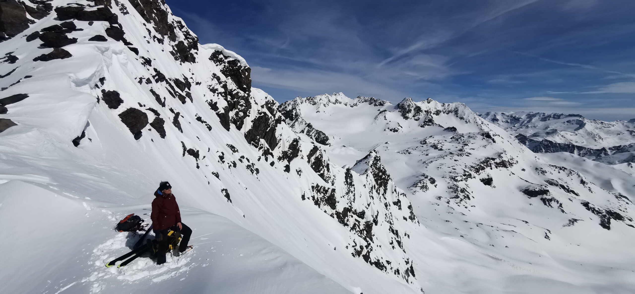 With or without seal skins?