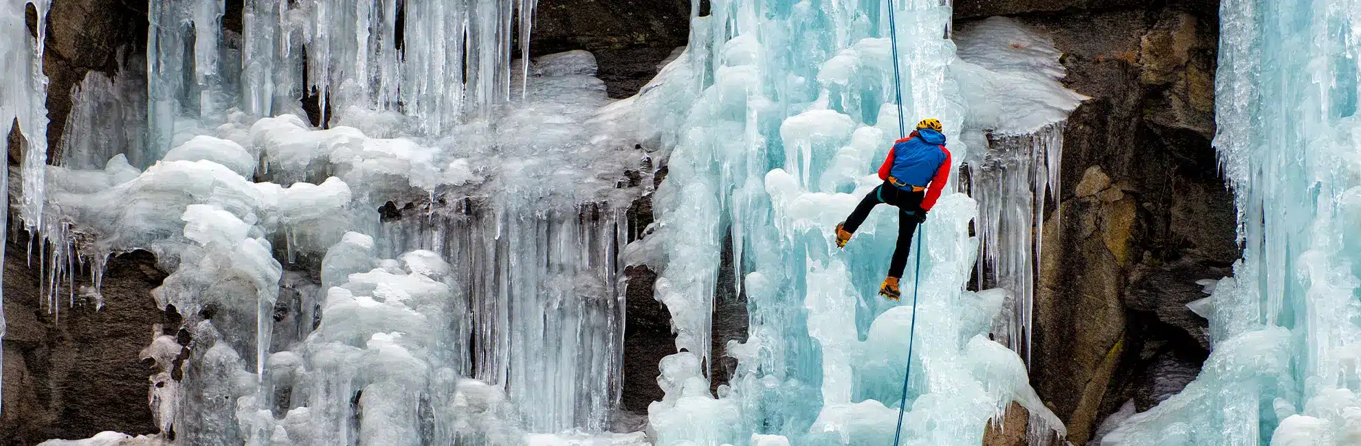 cascade-debutants-hero